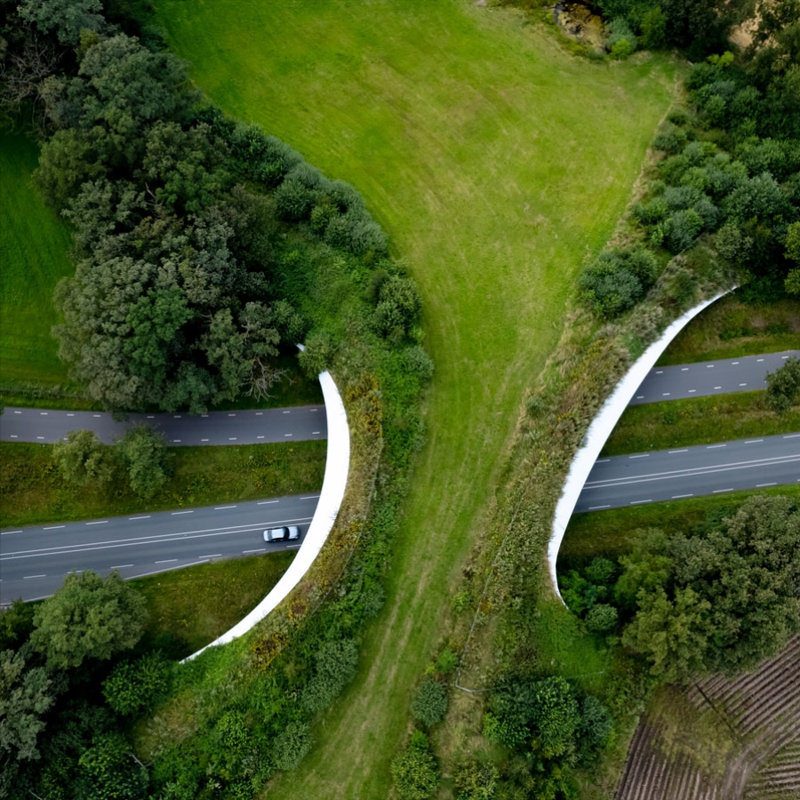 Viaduct